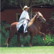 April - Mares Calendar 2009