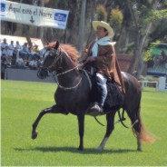 August - Mares Calendar 2009