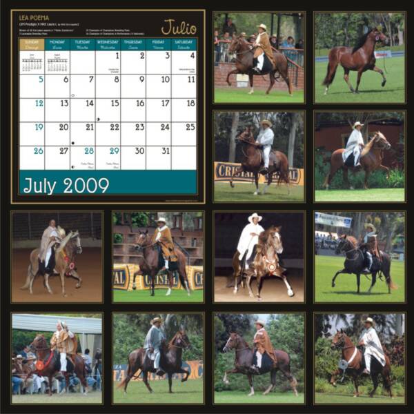 Back Cover - Mares Calendar 2009