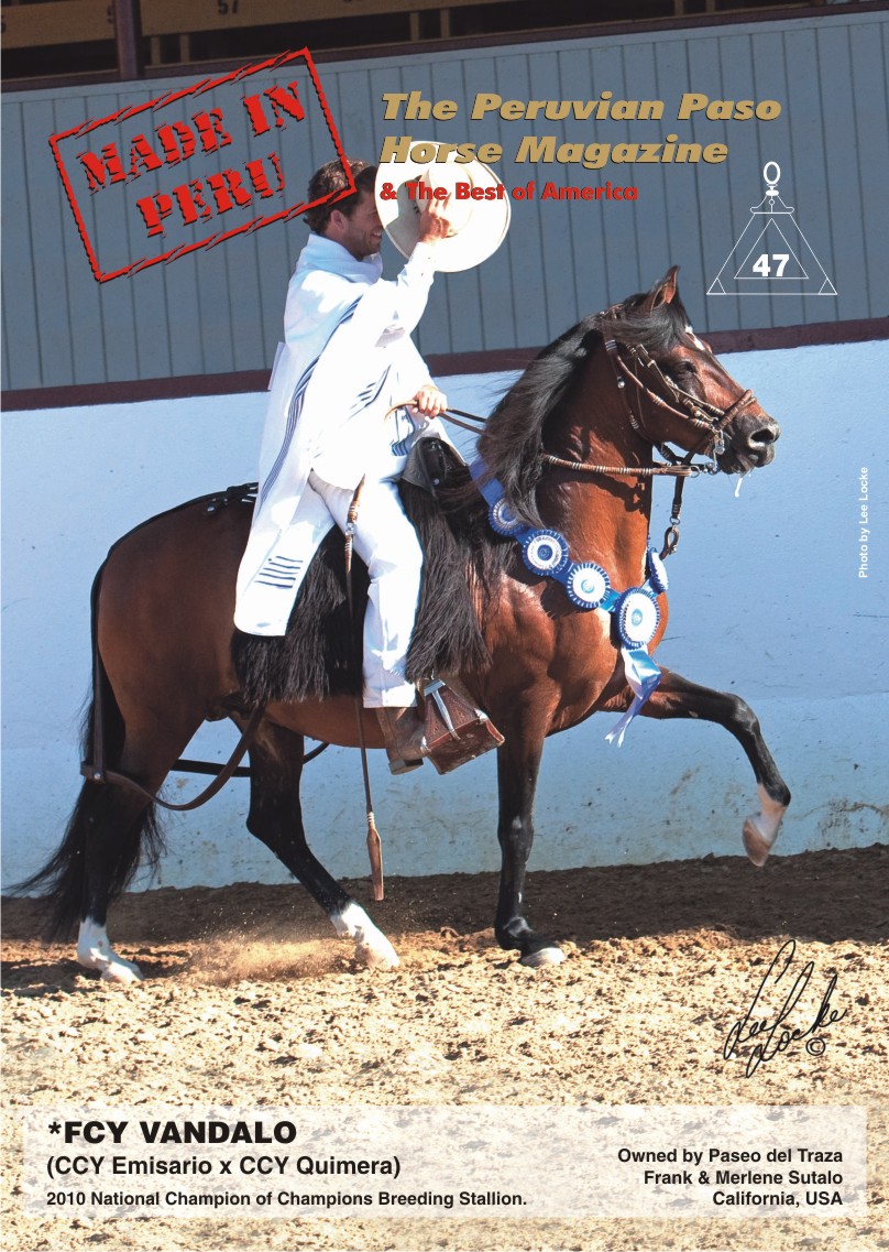 Cover for issue 47