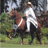 December - Mares Calendar 2009