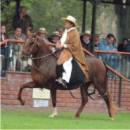 January - Mares Calendar 2009