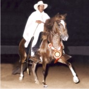 July - Mares Calendar 2009