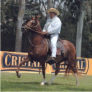 March - Mares Calendar 2009