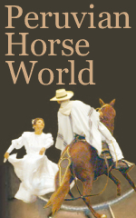Click here to go to Peruvian Horse World