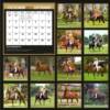 Back Cover Calendar Mares 2011
