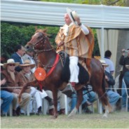 September - Mares Calendar 2009